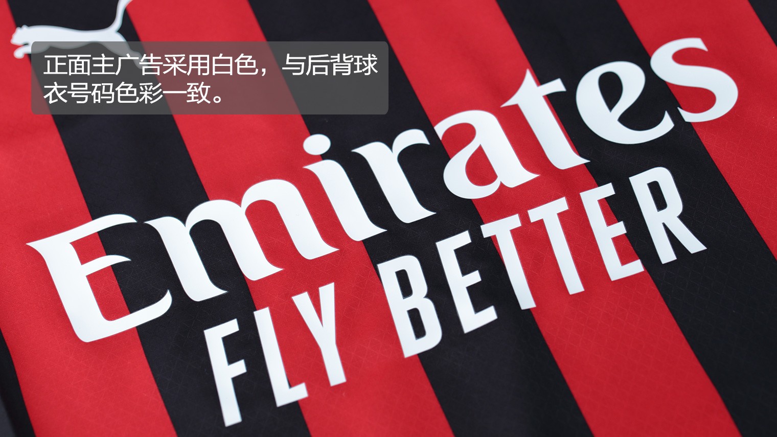 感的比例 感的比例